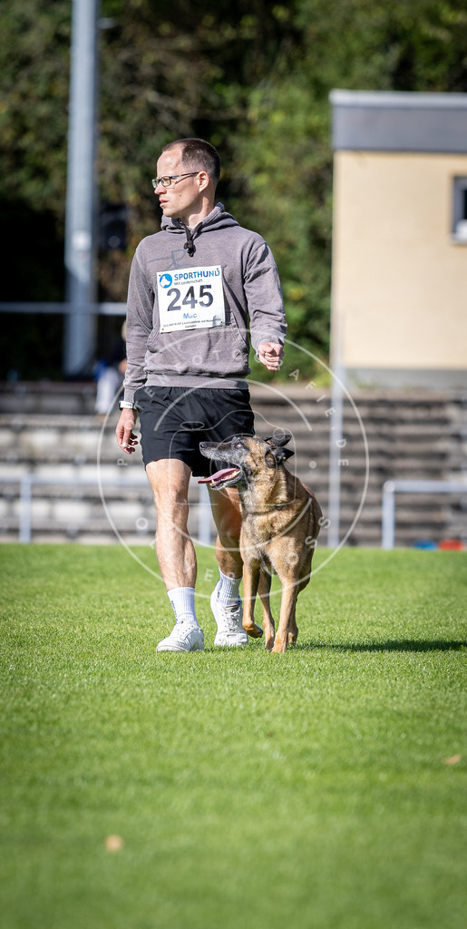 Pfotenfotografie_DV3A4935 | Hundefotografie, Tierfotograf, Pfotenfotografie, Fotoshooting Hund, Hunde Portrait, Hundesport, Hundeportraits, Heideshooting, Hunde, Sportfotograf, Hundefotograf, Turnierhundsport, THS,  - Realisiert mit Pictrs.com