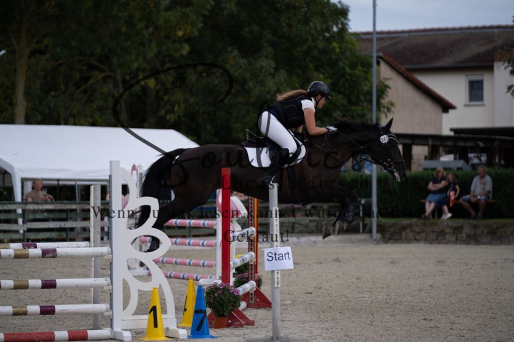 A7V07765 | Pferdefotograf