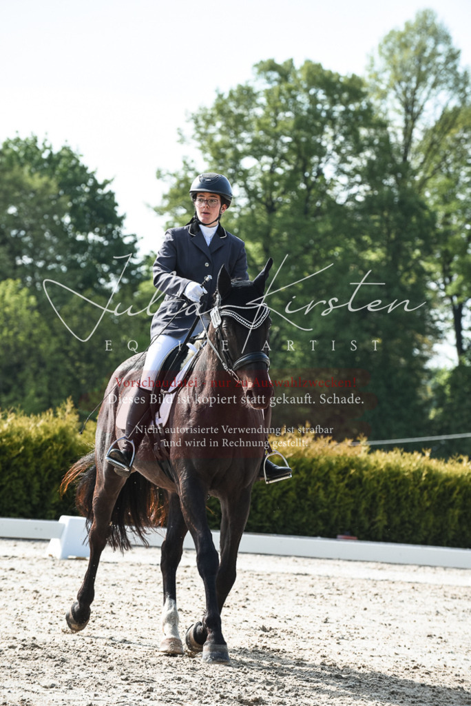 20230518_JK-Röhrsdorf-09-1021 | Pferde- und Turnierfotografie in Westsachsen. Pferdeportraits, Auftragszeichnungen und intuitive Kunst.
