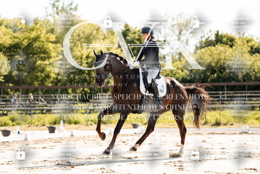 CK909179 | Turnierfotografie Pferdefotografie Trier Rheinland-Pfalz Pferdesport Reitsport Tierfotografie Sportfotografie Pferdevideo Pferdevideografie Equestrianvideography equestrianphotography  - Realisiert mit Pictrs.com