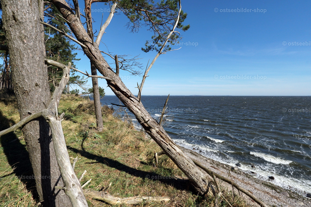Boddenblick  | Das Bild zeigt den Blick vom Gelben Ufer auf Zudar über den Greifswalder Bodden.