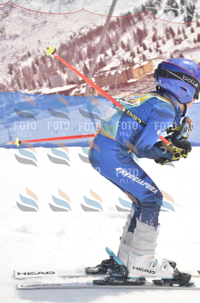 _ELE8475 | holidayphoto