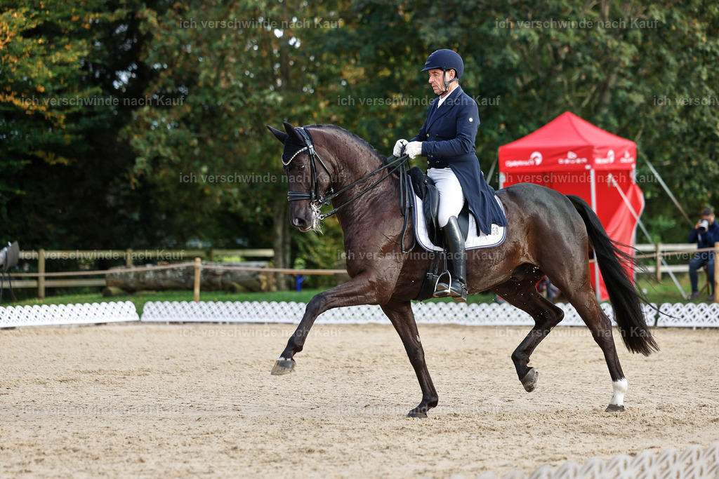 13-058-S___ -StoibPH-7004 | working equitationturnier fotograf videograf stoibphotography marixx film working equitation deutschland reitsport turnierfotografie eventfotografie equestrian events