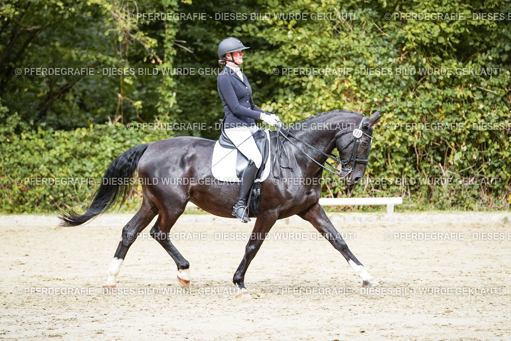 DSC05339 | Pferdegrafie