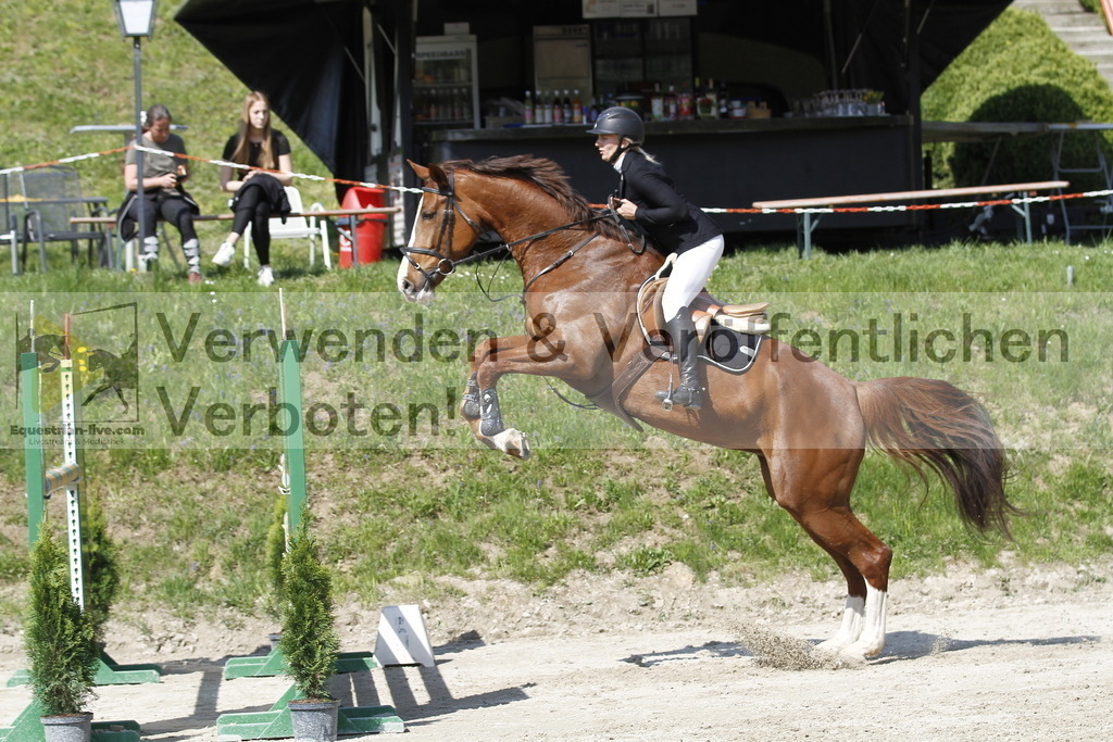 _MG_9529 | equestrian-live-com