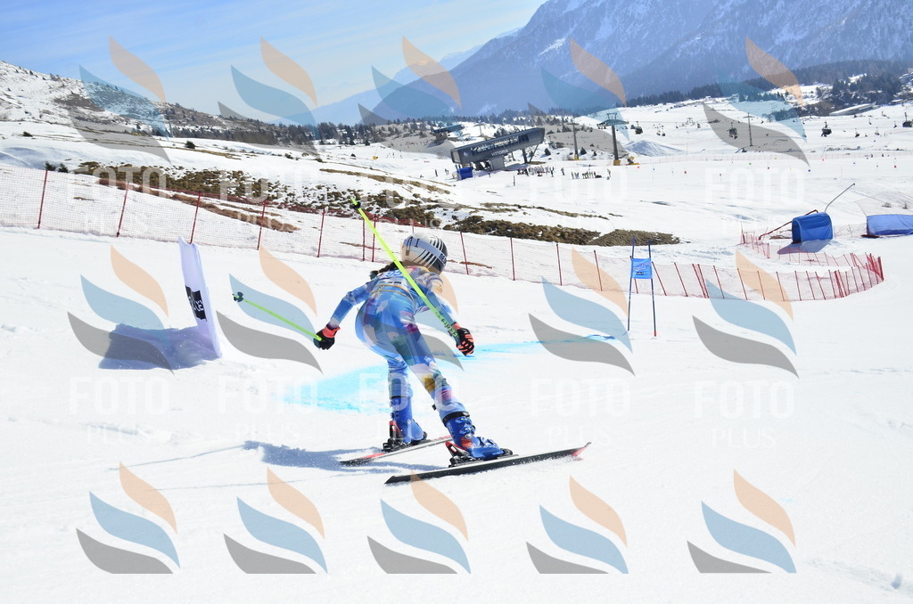 _ELE0538 | holidayphoto