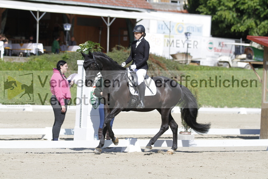 _MG_6705 | equestrian-live-com