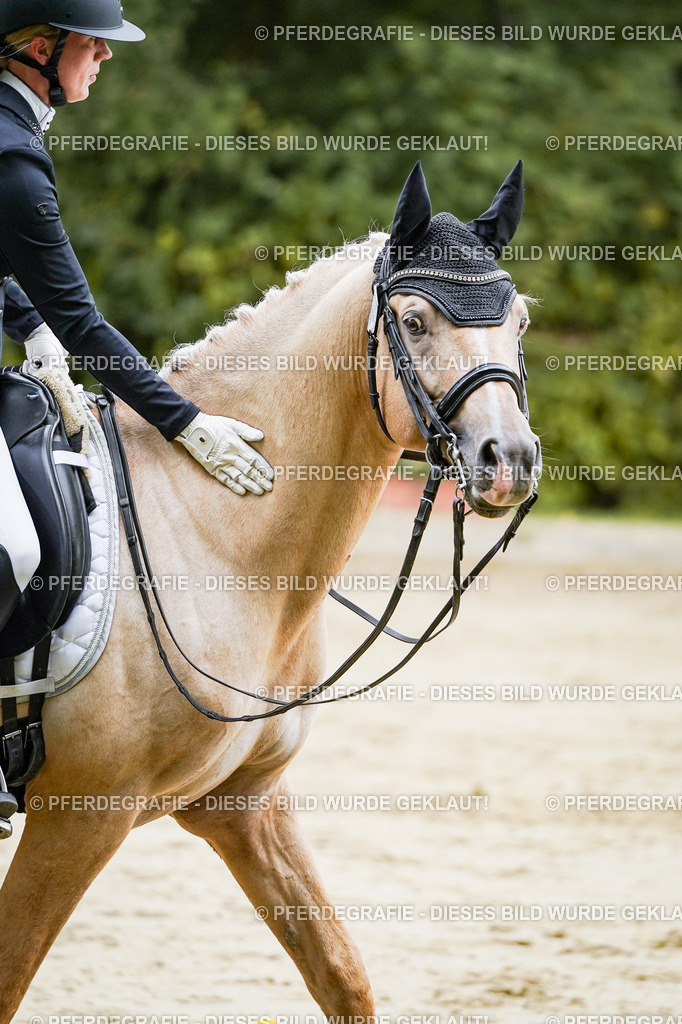 DSC09075 | Pferdegrafie