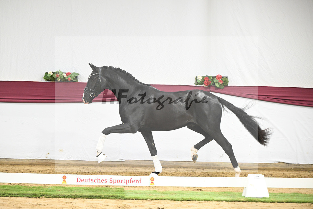 Kat-Nr. 50 Energy x Sezuan_Wilhelm u. Marvin Klausing GbR_47251862 | hf-fotografie - Realisiert mit Pictrs.com