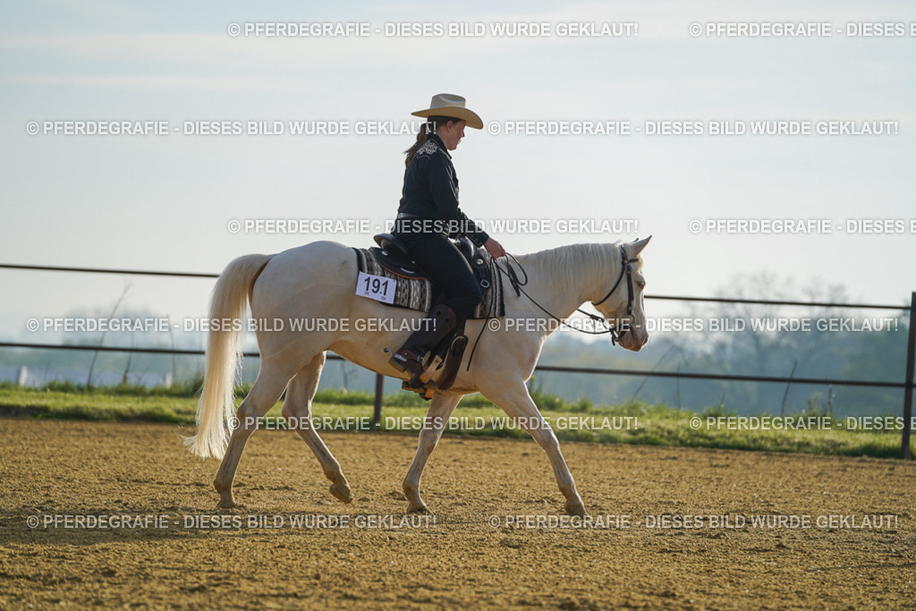 DSC00057 | Pferdegrafie