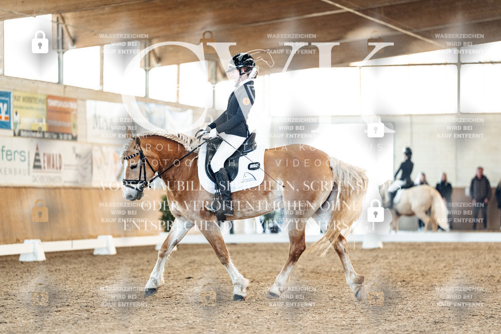 CK907434 | Turnierfotografie Pferdefotografie Trier Rheinland-Pfalz Pferdesport Reitsport Tierfotografie Sportfotografie Pferdevideo Pferdevideografie Equestrianvideography equestrianphotography  - Realized with Pictrs.com