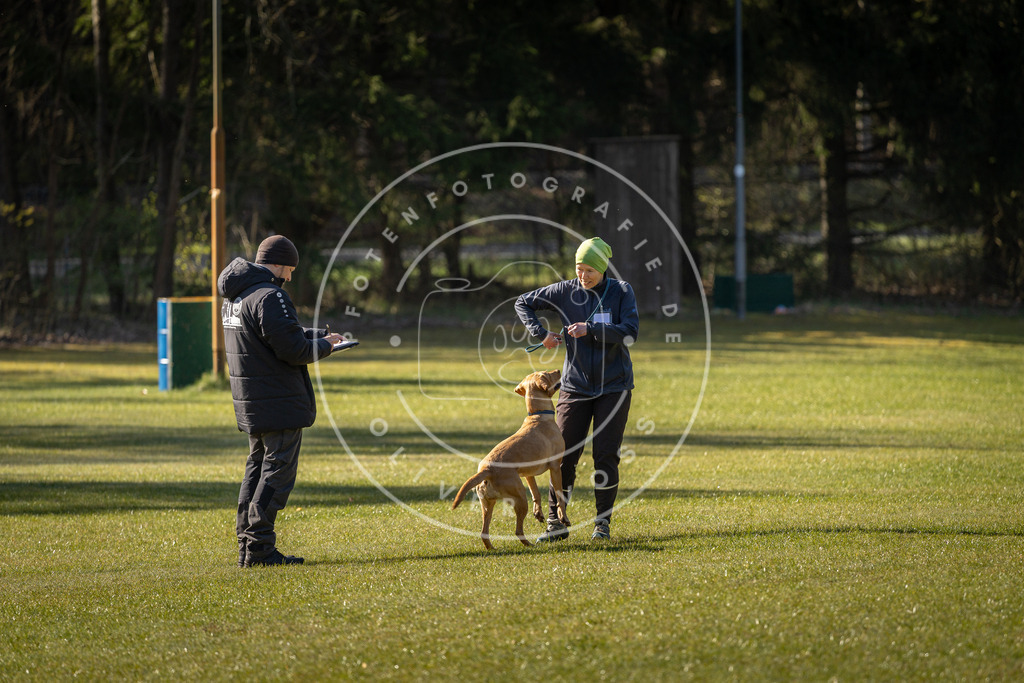 Pfotenfotografie_DV3A0119 | Hundefotografie, Tierfotograf, Pfotenfotografie, Fotoshooting Hund, Hunde Portrait, Hundesport, Hundeportraits, Heideshooting, Hunde, Sportfotograf, Hundefotograf, Turnierhundsport, THS,  - Realisiert mit Pictrs.com