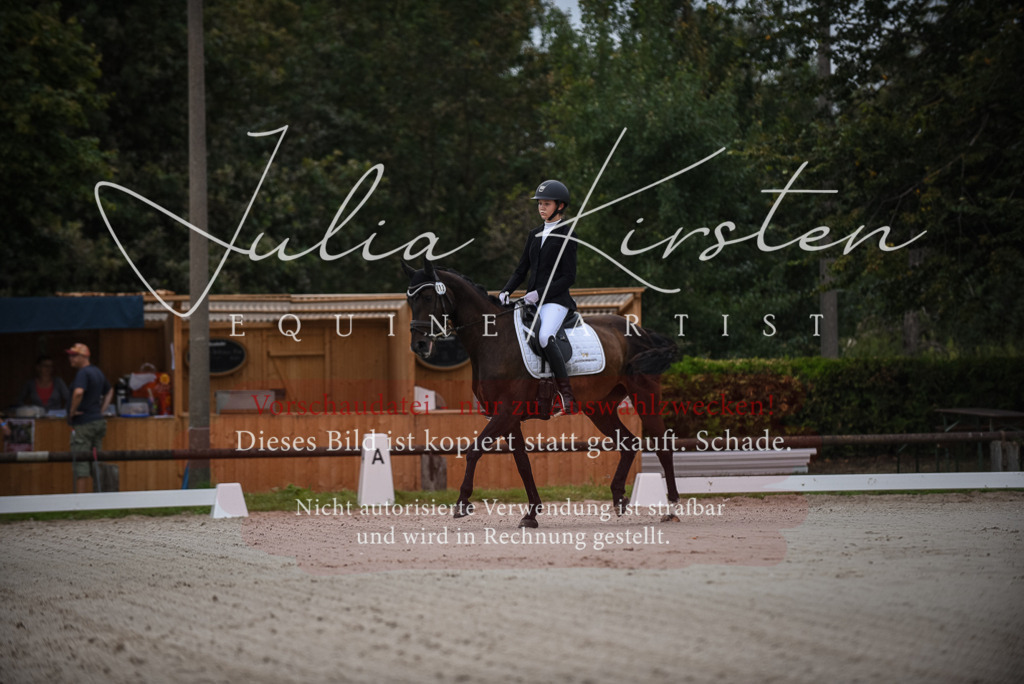 DSC_7930 | Pferde- und Turnierfotografie in Westsachsen. Pferdeportraits, Auftragszeichnungen und intuitive Kunst.