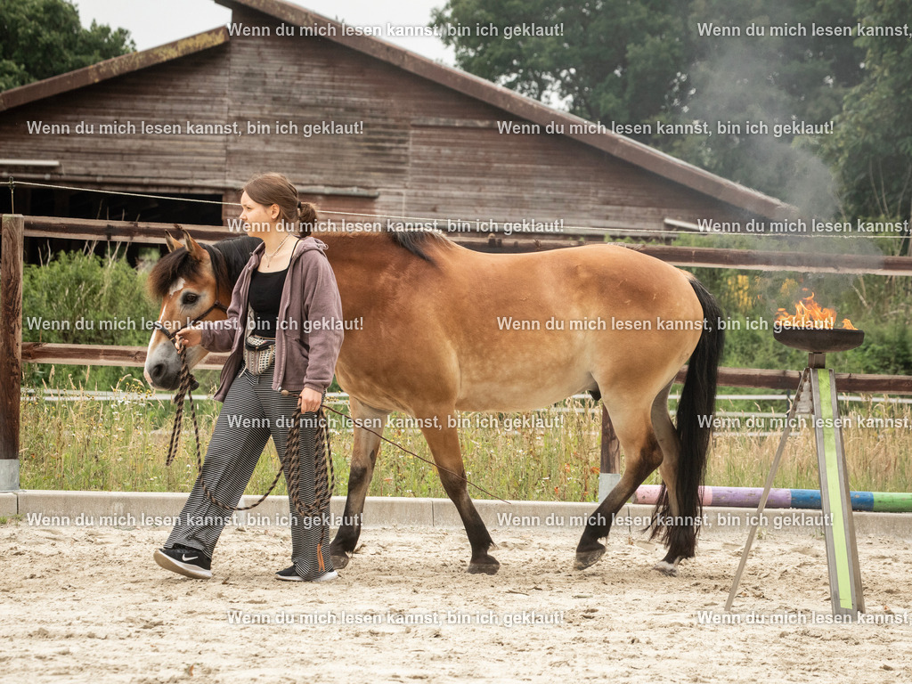 598A6474 | photographylinaismer - Realisiert mit Pictrs.com