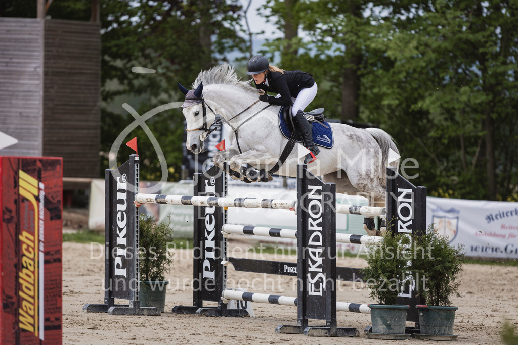 250504_SpengeW_M2-Spr-435 | Deine schönsten Turniermomente als professionelle Fotos! Entdecke hochwertige Pferdesport-Fotografie im Online-Shop. Jetzt Fotos finden & bestellen!