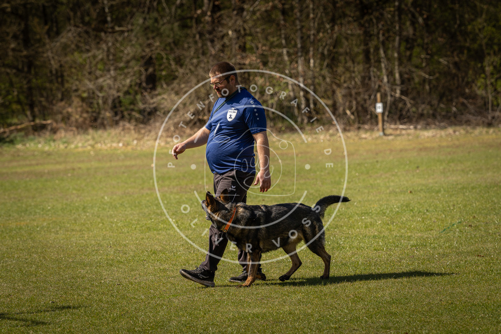Pfotenfotografie_DV3A0843 | Hundefotografie, Tierfotograf, Pfotenfotografie, Fotoshooting Hund, Hunde Portrait, Hundesport, Hundeportraits, Heideshooting, Hunde, Sportfotograf, Hundefotograf, Turnierhundsport, THS,  - Realisiert mit Pictrs.com