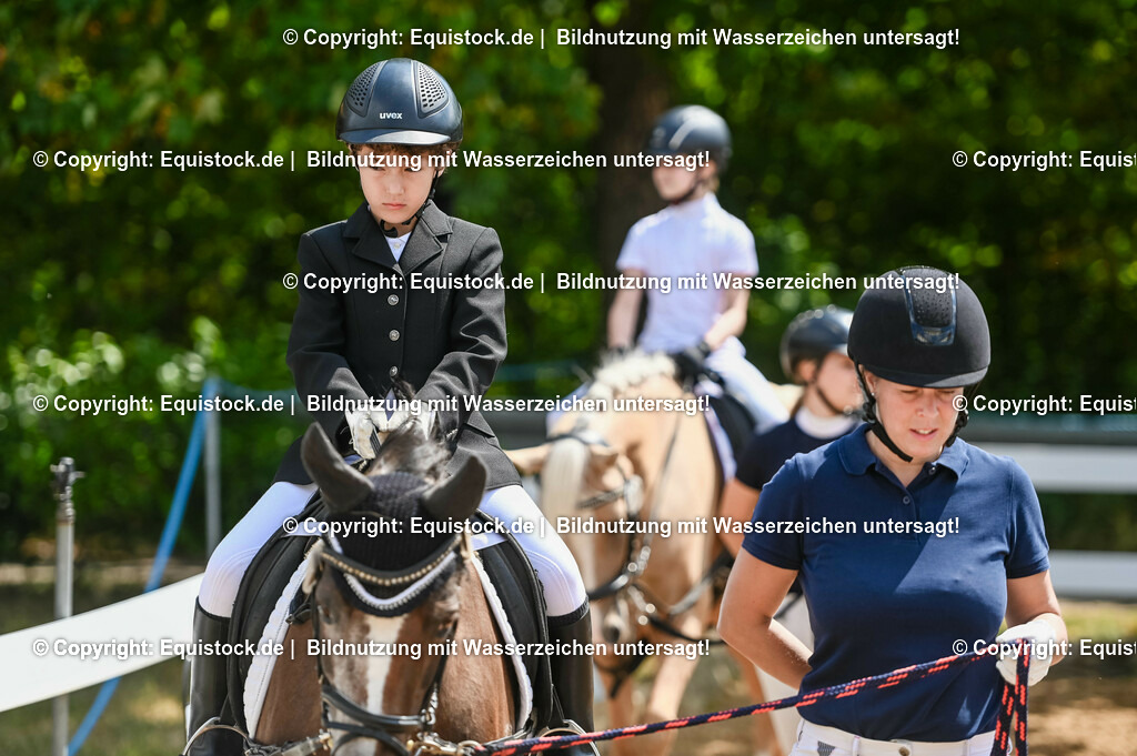 20230716_11_Führzügel-WB_0045 | equistock
