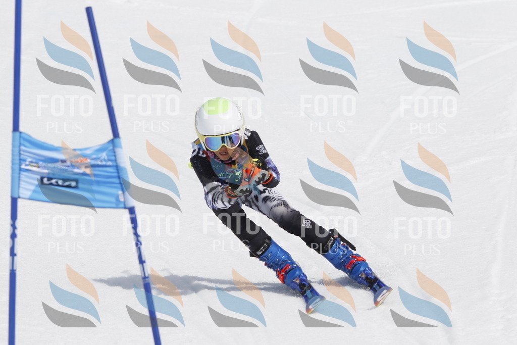 _U3G2373 | holidayphoto