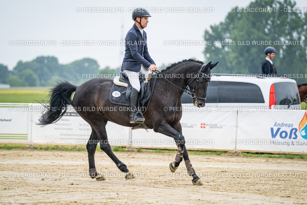 DSC01317 | Pferdegrafie