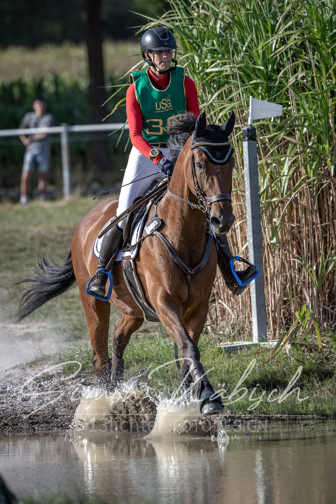 20250907-_3LI3896 | Tierfotografie Pferde, Hunde, Katzen, Haustiere.
Turnierfotografie Reitturniere, Reiten, Springreiten, Dressur in Hanau, dem Main-Kinzig-Kreis und dem Rhein-Main- Gebiet um Frankfurt