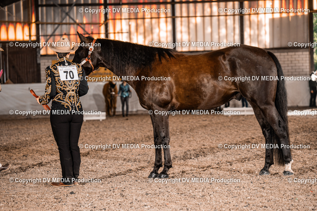 ZH100054 | dv-media-shop - Realisiert mit Pictrs.com