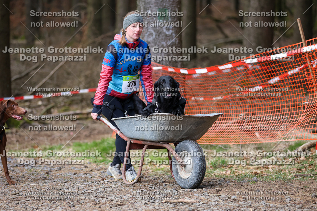 Dog Paparazzi - VCC26-804 | Dog Paparazzi Jeanette Grottendiek Fotografie & Videografie - Realisiert mit Pictrs.com