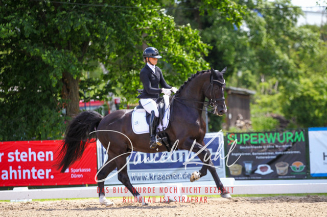 DKP41131 | Turnierfotos kaufen im Webshop von Daniel Kuhl Photography – entdecke professionelle Reitsportfotos aus Turnieren & Events. Hochwertige Turnierbilder online bestellen & sichern. Jetzt Fotos von Reitsportturnieren kaufen!