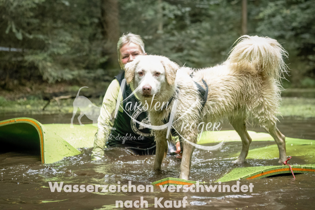 1439_ZZ93159-Bearbeitet | kk-dogfotos