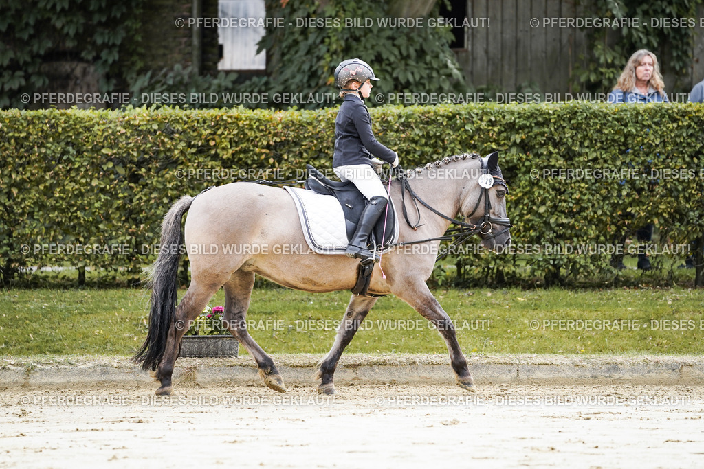 DSC05232 | Pferdegrafie