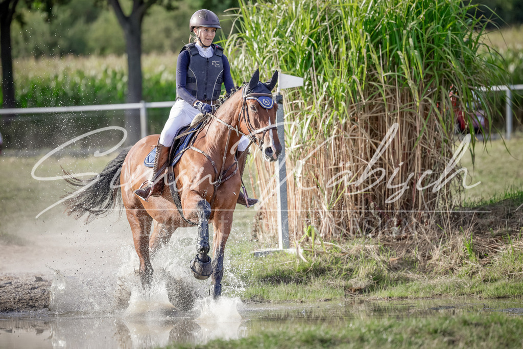 20250906-_3LI7551 | Tierfotografie Pferde, Hunde, Katzen, Haustiere.
Turnierfotografie Reitturniere, Reiten, Springreiten, Dressur in Hanau, dem Main-Kinzig-Kreis und dem Rhein-Main- Gebiet um Frankfurt