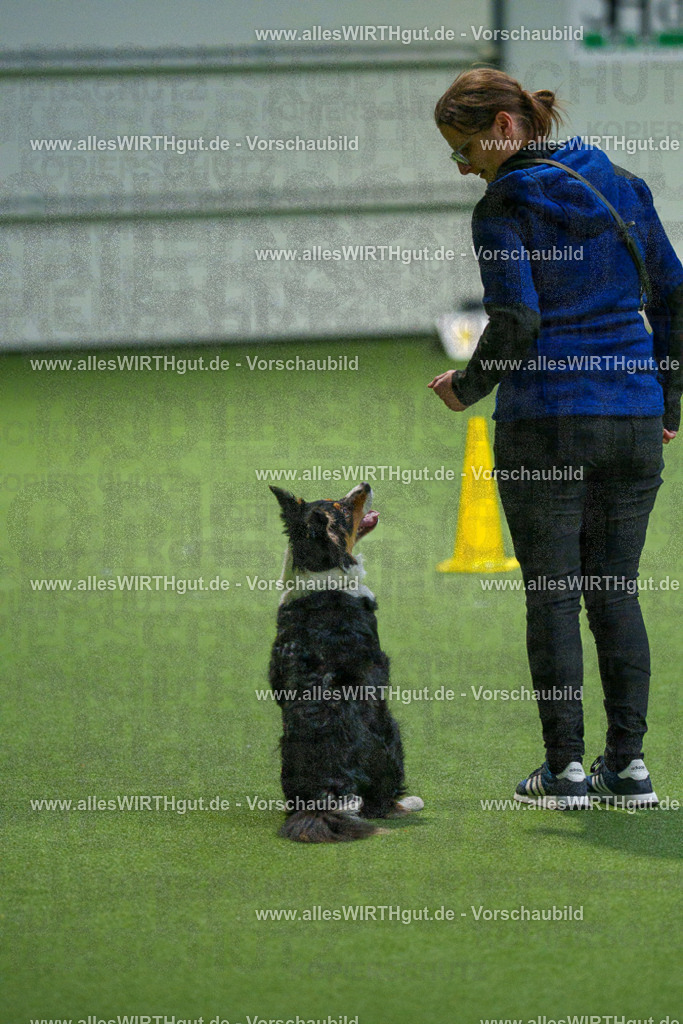 7R508218 | Professionelle Tierfotografie in Mönchengladbach von Daniel Wirth (allesWIRTHgut). Liebevolle & natürliche Bilder von Hunden & Katzen für unvergessliche Erinnerungen.