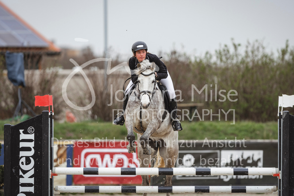 240330_Fruehlingsfest_Stil-A2-1-633 | Deine schönsten Turniermomente als professionelle Fotos! Entdecke hochwertige Pferdesport-Fotografie im Online-Shop. Jetzt Fotos finden & bestellen!