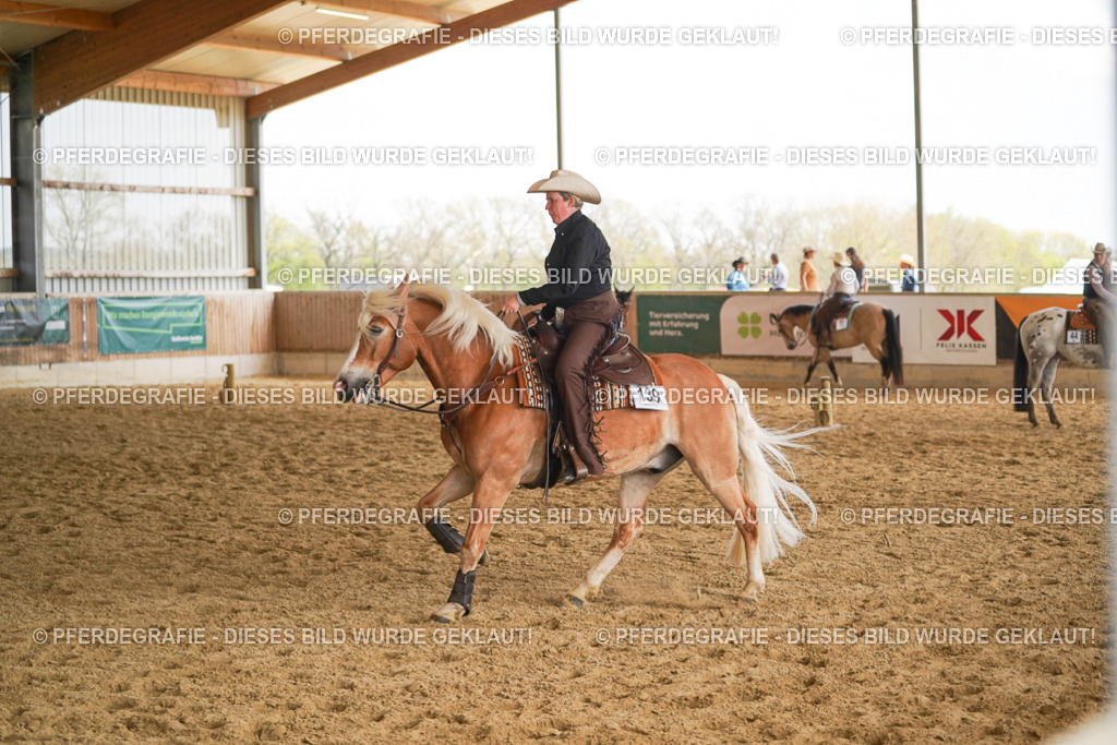 DSC01752 | Pferdegrafie