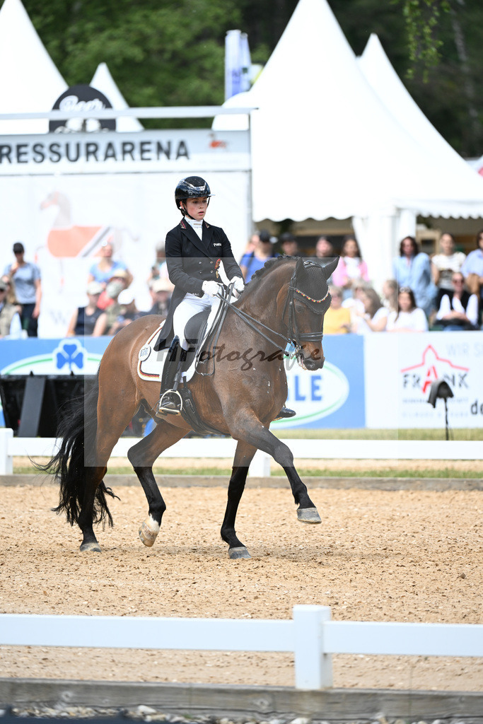 Lang_Baron_11252527 | hf-fotografie - Realisiert mit Pictrs.com