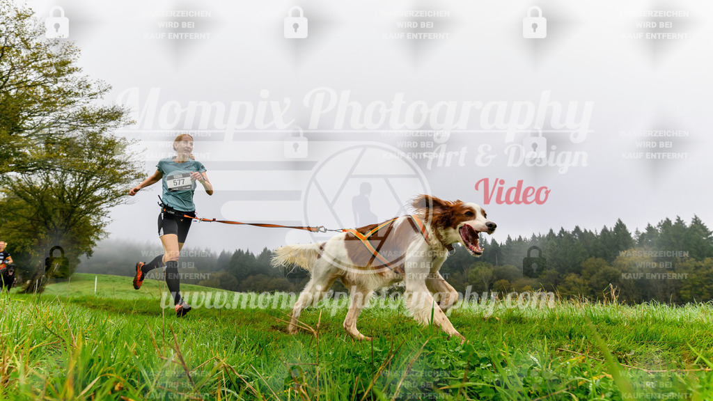 MompixPhotography_20TSB_E5_Run-83 | PayLife