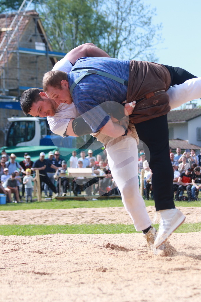 Schwyzer2025_IMG_3546_mb | Schlussgang Bieri Marcel gewinnt Wicki Joel  - Realisiert mit Pictrs.com