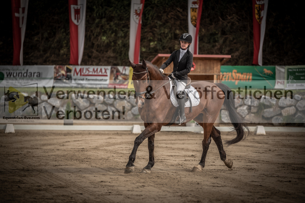 DSC_8262 | equestrian-live-com