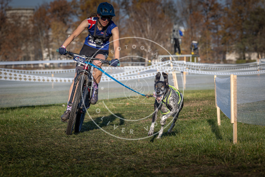 CaniXpix_0L8A4398 | Hundefotografie, Tierfotograf, Pfotenfotografie, Fotoshooting Hund, Hunde Portrait, Hundesport, Hundeportraits, Heideshooting, Hunde, Sportfotograf, Hundefotograf, Turnierhundsport, THS,  - Realisiert mit Pictrs.com