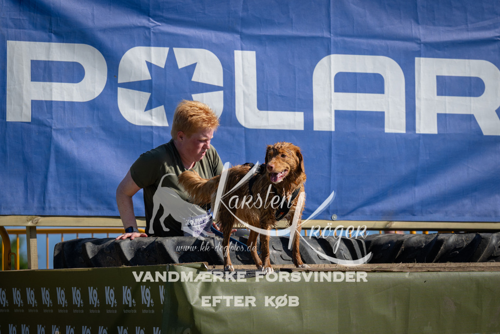 1025_ZZ98591 | kk-dogfotos