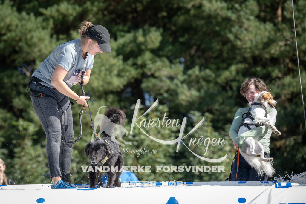 1129_ZZ92205 | kk-dogfotos