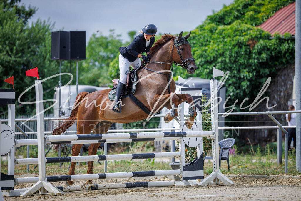20260705-_3LI4156 | Tierfotografie Pferde, Hunde, Katzen, Haustiere.
Turnierfotografie Reitturniere, Reiten, Springreiten, Dressur in Hanau, dem Main-Kinzig-Kreis und dem Rhein-Main- Gebiet um Frankfurt