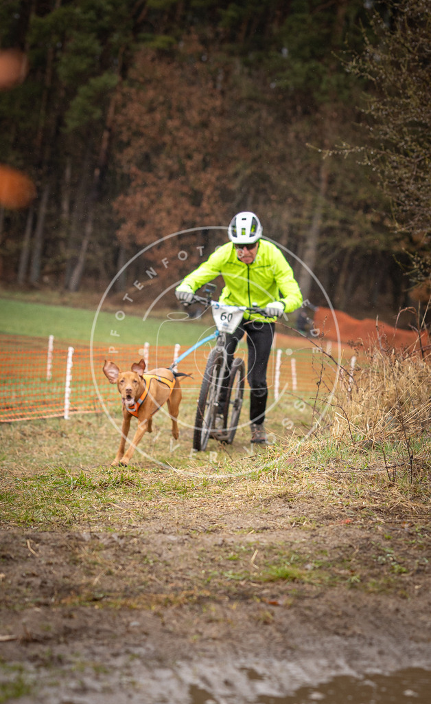 DV3A9495 | Hundefotografie, Tierfotograf, Pfotenfotografie, Fotoshooting Hund, Hunde Portrait, Hundesport, Hundeportraits, Heideshooting, Hunde, Sportfotograf, Hundefotograf, Turnierhundsport, THS,  - Realisiert mit Pictrs.com