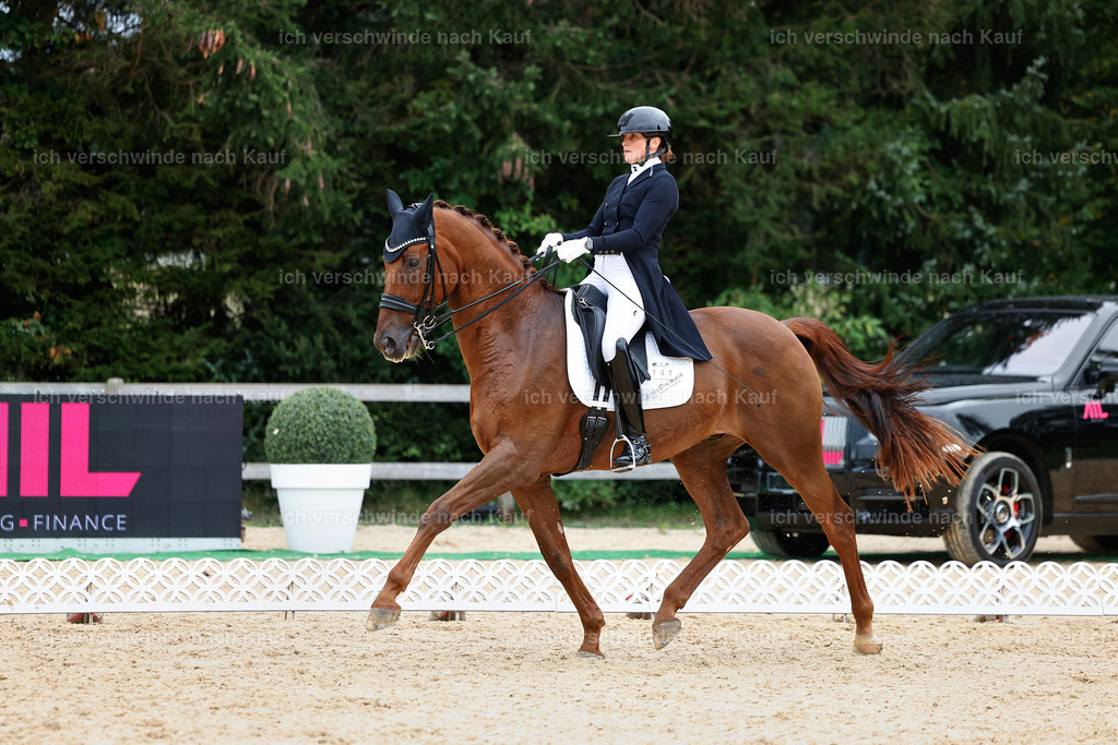 11-141-Dressur S___-Marixx-1816 | working equitationturnier fotograf videograf stoibphotography marixx film working equitation deutschland reitsport turnierfotografie eventfotografie equestrian events