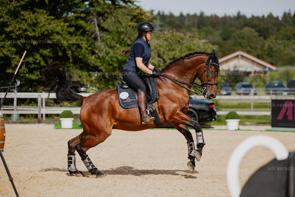 Nadine22_FHC2025-118 | working equitationturnier fotograf videograf stoibphotography marixx film working equitation deutschland reitsport turnierfotografie eventfotografie equestrian events