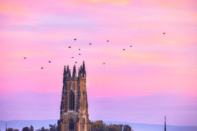 2022-10-30 Fribourg_Morning_Color 084-merged | Moderne Schulfotografie, Schulfotograf, Kinderportrait, Kindergarten, Schulen, Schulleitung, Onlineshop - Realisiert mit Pictrs.com