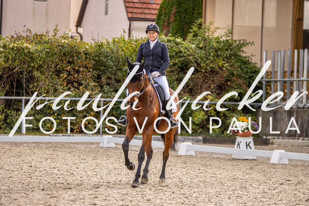 IMG_3178 | Erleben Sie dynamische Sport- und emotionale Tierfotografie in Süddeutschland mit Fotos von Paula. Spezialisiert auf Pferde- und Hundefotografie sowie Sportevents. Kontaktieren Sie mich für einzigartige und ausdrucksstarke Bilder Ihrer besonderen Momente.