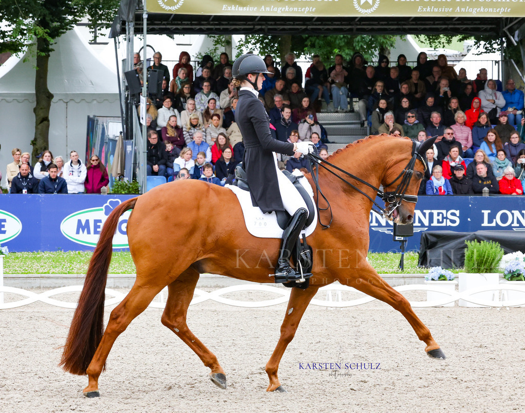 1B3A8469 | Reitsport Reiten