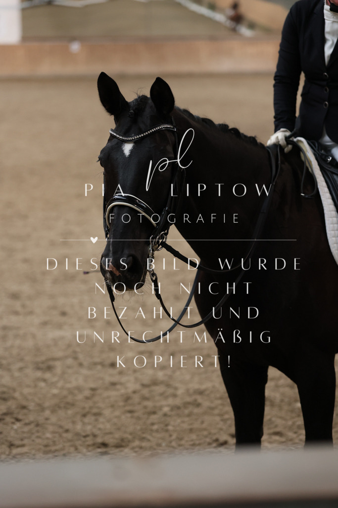 IMGM1139 | pl-fotografie