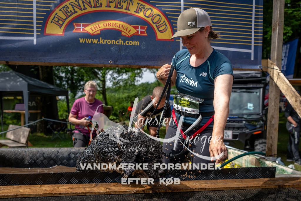 1113_ZZ92987 | kk-dogfotos