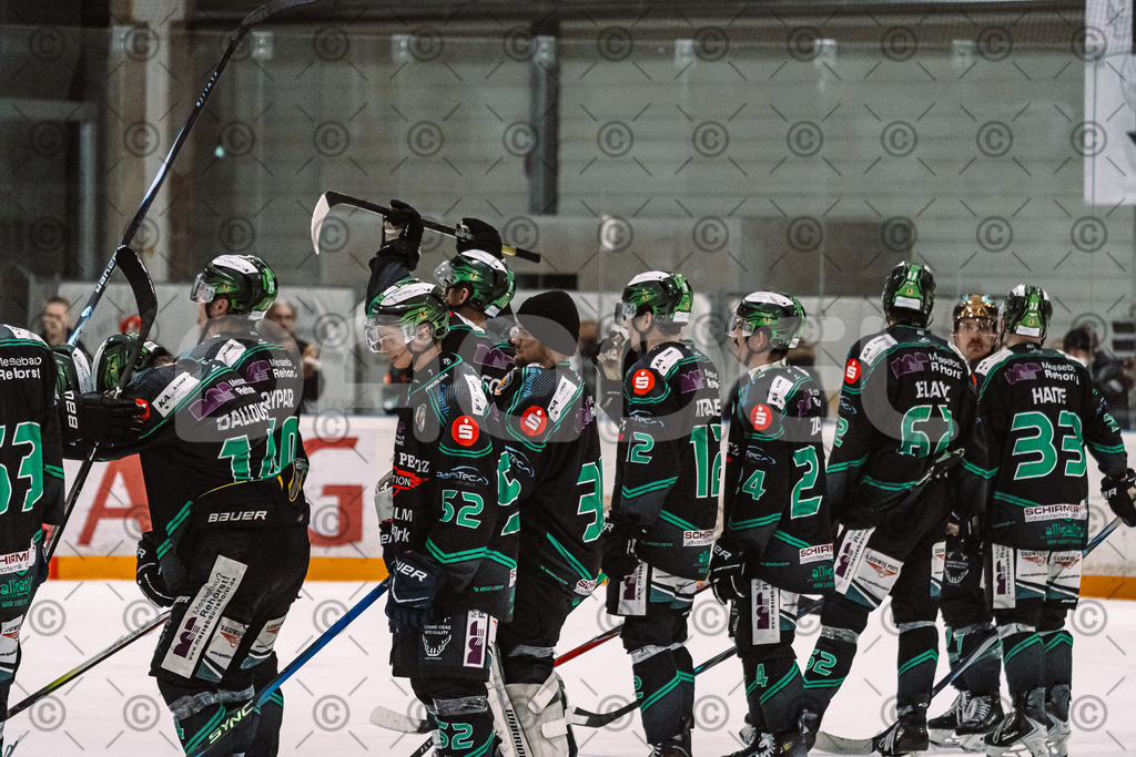 Alligators_vs_Erding_12_12_2025-211 | Höchstadt Alligators Fotogalerie: Eishockey-Action aus Franken. Professionelle Spielfotos, Portraits & Stadionbilder zum Download. Jetzt entdecken! - Realisiert mit Pictrs.com